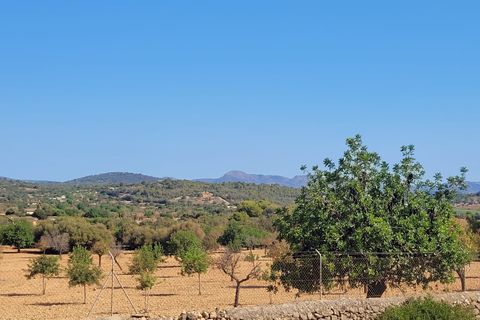 Helårsgrund i Manacor, Mallorca, Manacor - € 390.000 | Ref: 1706 - foto 6